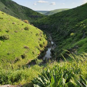 השתלמות מורי דרך-נחל תבור ותל רכש