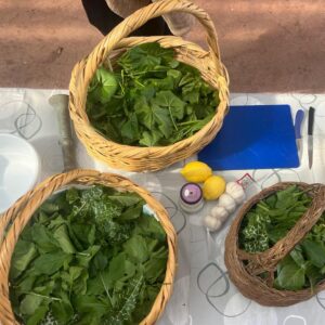 7.02 ליקוט למשפחות