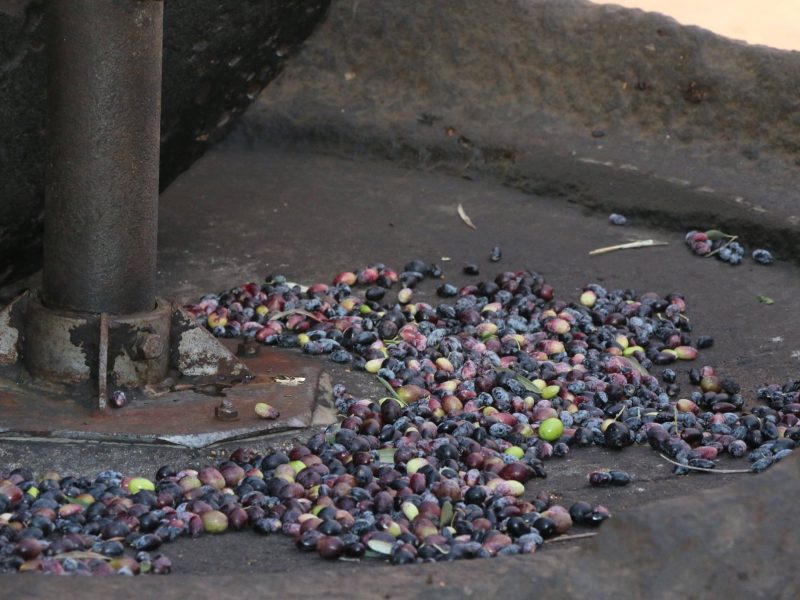 14991031_539818666191915_7322450330043307077_o